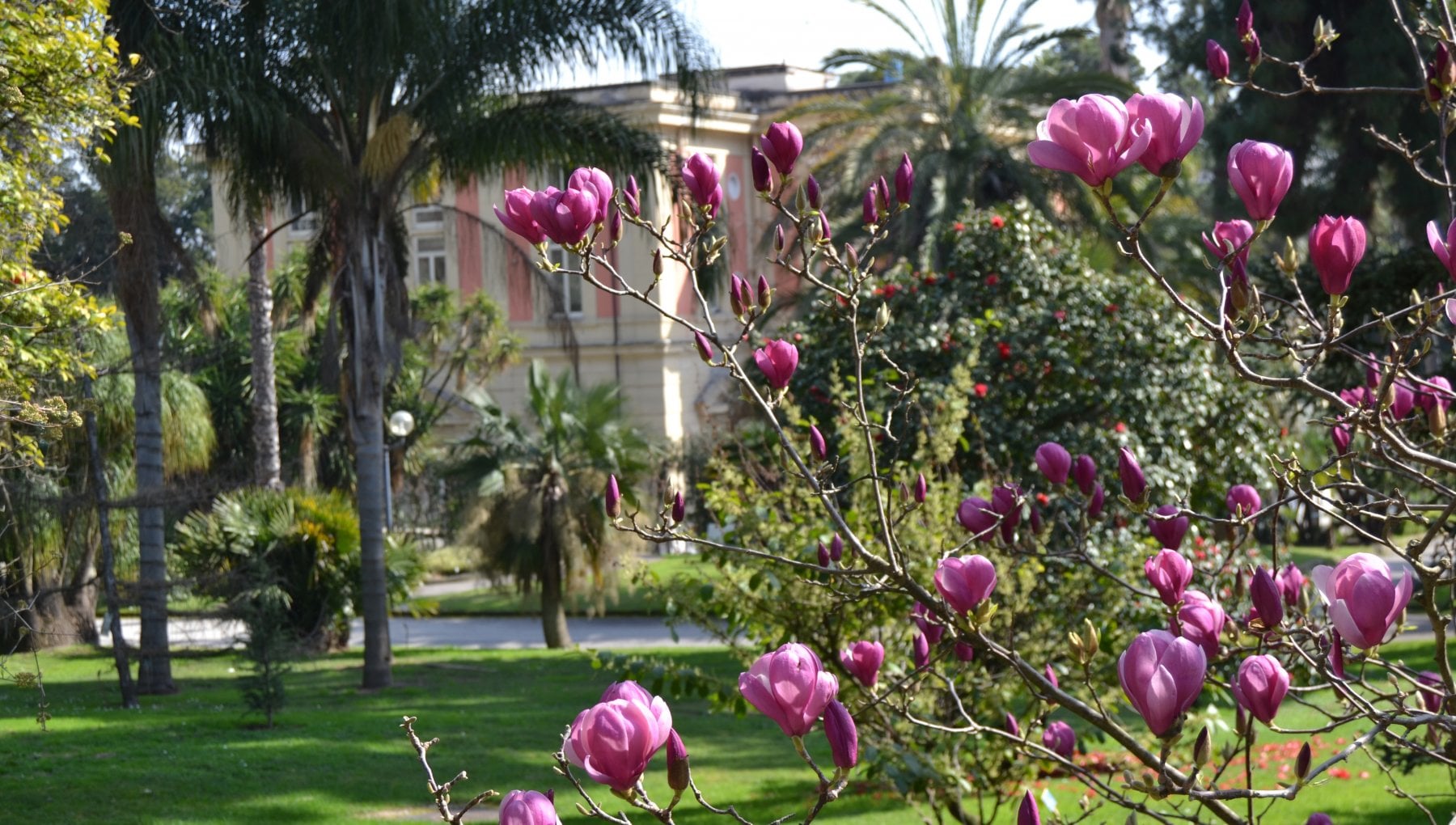 Orto botanico Napoli