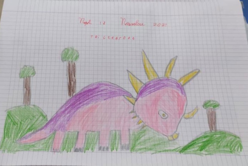 Classe-Terza-Primaria-Conosciamo i dinosauri 04