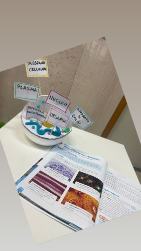 Il Nucleo primaria3D