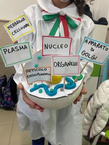 Il Nucleo primaria3D