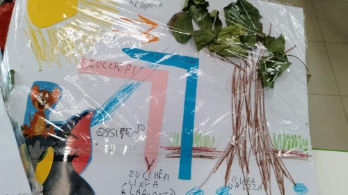 Classe 3ª primaria: studiamo la fotosintesi clorofilliana e le meraviglie della natura