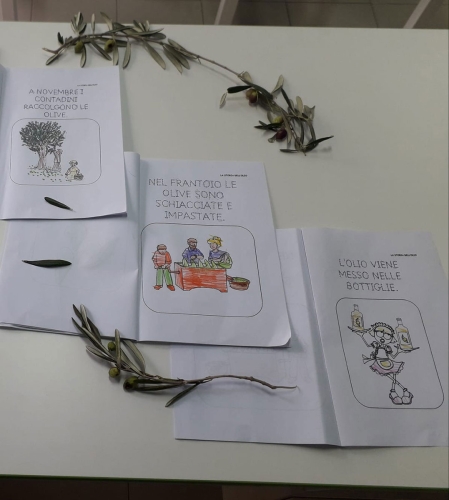 La storia olio - Classe I Primaria