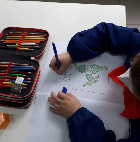 La storia olio - Classe I Primaria