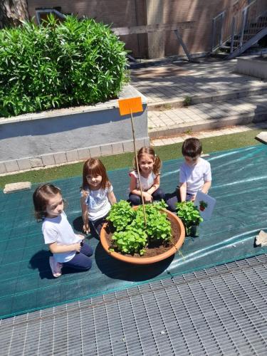 Scuole Pie - Progetto ludico-sensoriale - Scuola dell'Infanzia