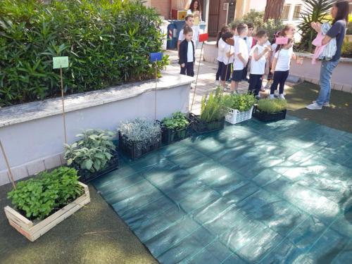 Scuole Pie - Progetto ludico-sensoriale - Scuola dell'Infanzia