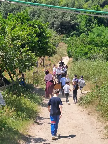 Visita fattoria didattica Scuola Primaria