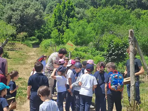 Visita fattoria didattica Scuola Primaria