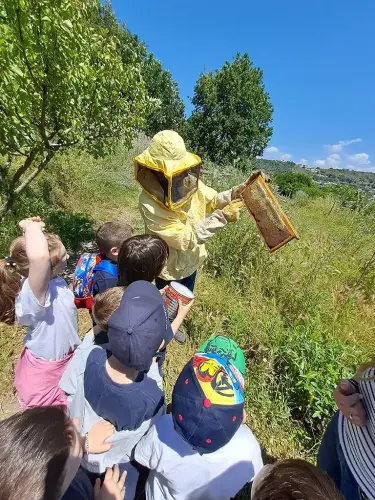 Visita fattoria didattica Scuola Primaria
