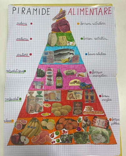 Scienze: Studiando l'apparato digerente scopriamo perché è importante nutrirsi in modo equilibrato