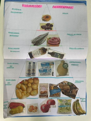 Scienze: Studiando l'apparato digerente scopriamo perché è importante nutrirsi in modo equilibrato