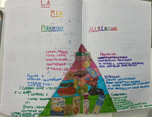 Scienze: Studiando l'apparato digerente scopriamo perché è importante nutrirsi in modo equilibrato