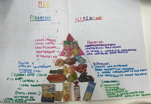 Scienze: Studiando l'apparato digerente scopriamo perché è importante nutrirsi in modo equilibrato