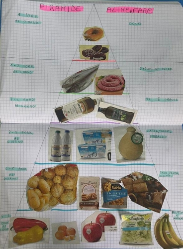 Scienze: Studiando l'apparato digerente scopriamo perché è importante nutrirsi in modo equilibrato