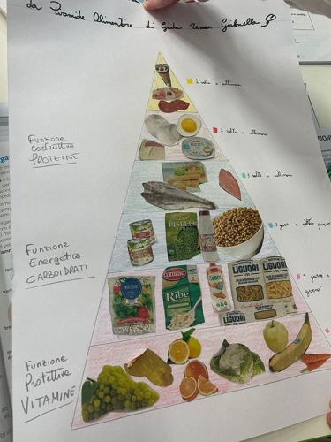 Scienze: Studiando l'apparato digerente scopriamo perché è importante nutrirsi in modo equilibrato