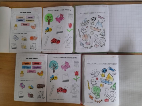 Esseri viventi e non viventi - InfanziaColoriamo favorendo la capacità dei bambini di distinguere gli esseri viventi e non viventi. 
