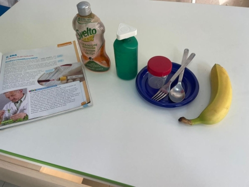 Classe 5ª primariaEsperimento in corso: estrazione del DNA della banana