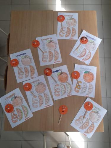 La spremuta: La giornata dell' arancia. Scuola dell'infanzia