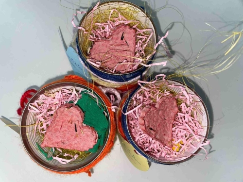 Per te, cara mamma, un piccolo semino, che come me crescerà pian pianino, diventando, come te, un bellissimo fiore, che insieme riempiremo di tanto amore."