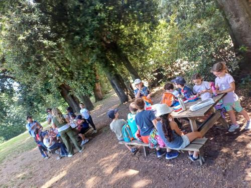 Campo Estivo 2024 - Uscita didattica Museo Reale di Capodimonte