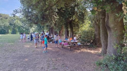 Campo Estivo 2024 - Uscita didattica Museo Reale di Capodimonte