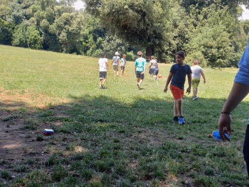 Campo Estivo 2024 - Uscita didattica Museo Reale di Capodimonte