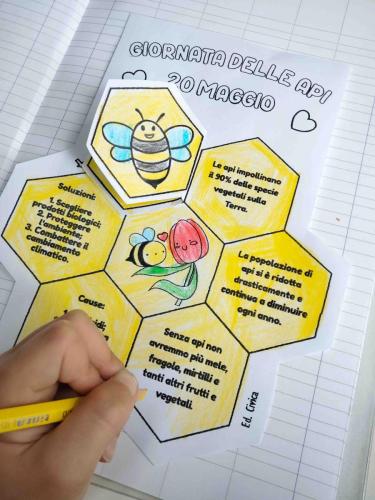 Giornata delle api - prima e seconda primaria