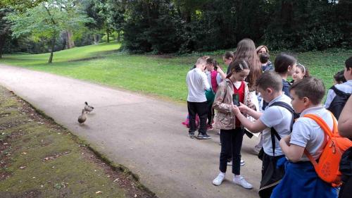 Giardini inglesi e Parco Reggia di Caserta