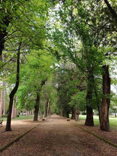 Giardini inglesi e Parco Reggia di Caserta