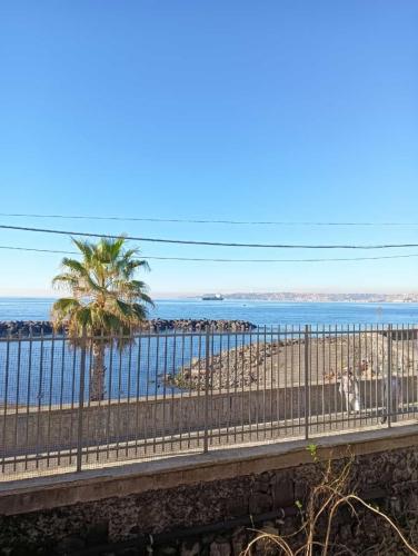 Giornata dedicata alla Scienza e alla Ricerca.Grazie alla collaborazione con il CNR: ISAFOM, IPSP, ISPAAM. Gli allievi della V Primaria e Secondaria di I gradohanno seguito alcuni esperimenti interessanti e istruttivi riguardo alle api, alle piante ed alla biodiversità alimentare.