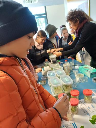 Giornata dedicata alla Scienza e alla Ricerca.Grazie alla collaborazione con il CNR: ISAFOM, IPSP, ISPAAM. Gli allievi della V Primaria e Secondaria di I gradohanno seguito alcuni esperimenti interessanti e istruttivi riguardo alle api, alle piante ed alla biodiversità alimentare.