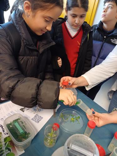 Giornata dedicata alla Scienza e alla Ricerca.Grazie alla collaborazione con il CNR: ISAFOM, IPSP, ISPAAM. Gli allievi della V Primaria e Secondaria di I gradohanno seguito alcuni esperimenti interessanti e istruttivi riguardo alle api, alle piante ed alla biodiversità alimentare.