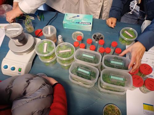 Giornata dedicata alla Scienza e alla Ricerca.Grazie alla collaborazione con il CNR: ISAFOM, IPSP, ISPAAM. Gli allievi della V Primaria e Secondaria di I gradohanno seguito alcuni esperimenti interessanti e istruttivi riguardo alle api, alle piante ed alla biodiversità alimentare.