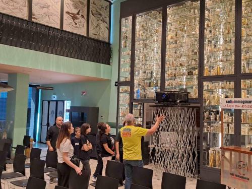 Gli alunni della Secondaria al Pianeta Mare Film Festival- Museo Darwin Dohrn - Napoli