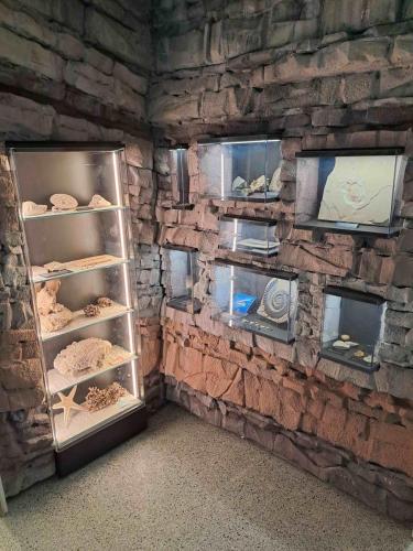 Gli alunni della Secondaria al Pianeta Mare Film Festival- Museo Darwin Dohrn - Napoli