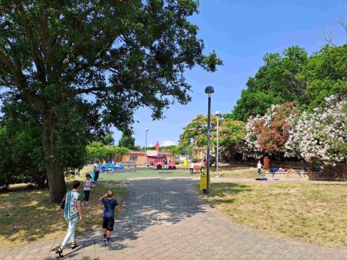 Campo estivo 2023 - primaria - Parco Virgiliano