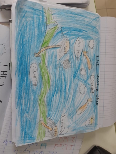 CLIL - Scuola Primaria