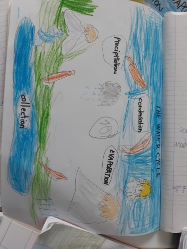 CLIL - Scuola Primaria