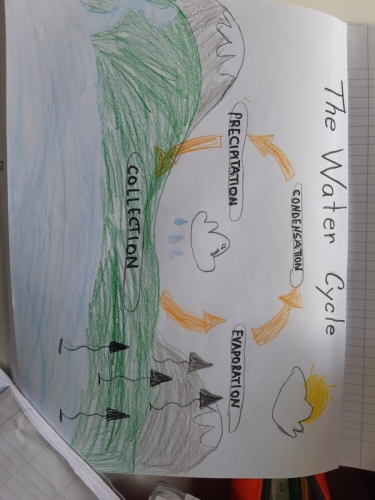 CLIL - Scuola Primaria