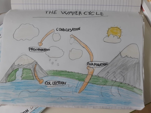 CLIL - Scuola Primaria