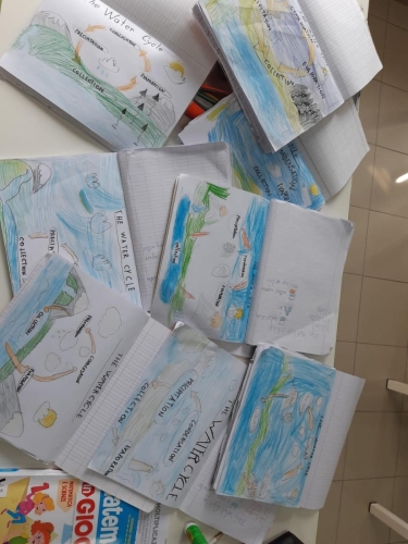 CLIL - Scuola Primaria