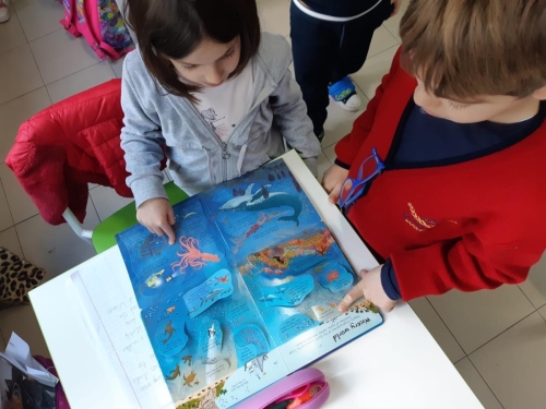 CLIL - Scuola Primaria