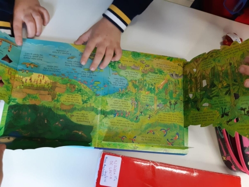 CLIL - Scuola Primaria