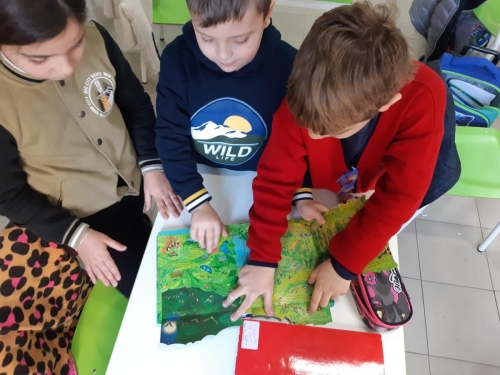 CLIL - Scuola Primaria