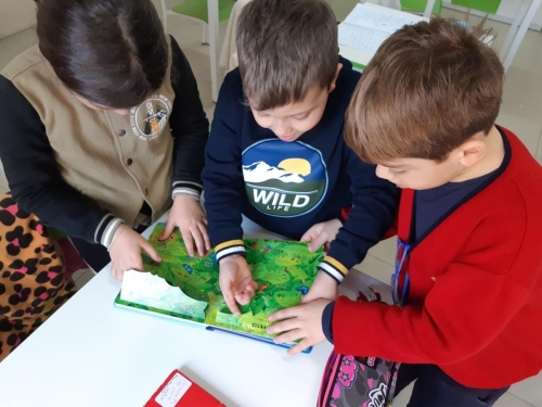 CLIL - Scuola Primaria