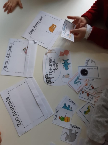 CLIL - Scuola Primaria
