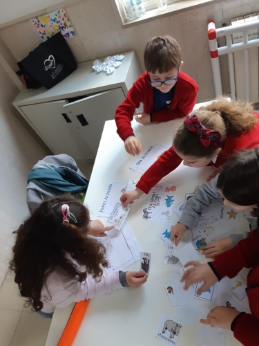 CLIL - Scuola Primaria