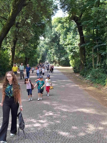 Campo Estivo Primaria - Museo Reggia di Capodimonte e Parco