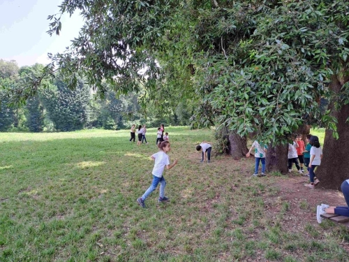 Campo Estivo Primaria - Museo Reggia di Capodimonte e Parco
