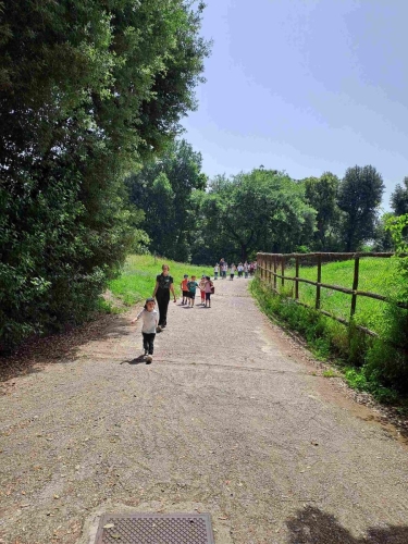 Campo Estivo Primaria - Museo Reggia di Capodimonte e Parco