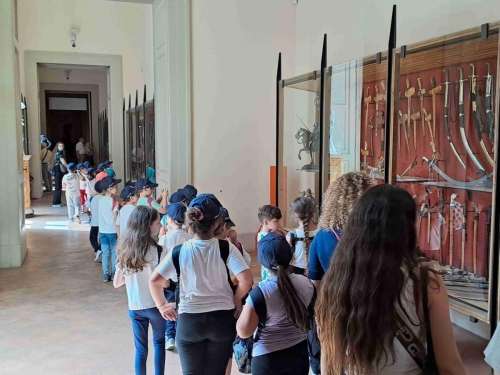 Campo Estivo Primaria - Museo Reggia di Capodimonte e Parco